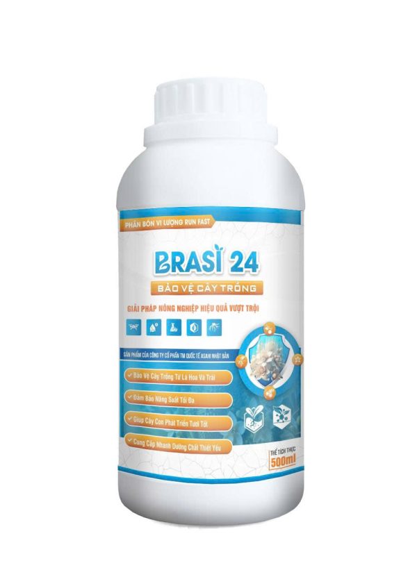 BRASI 24
