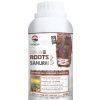 ROOTS SAMURAI