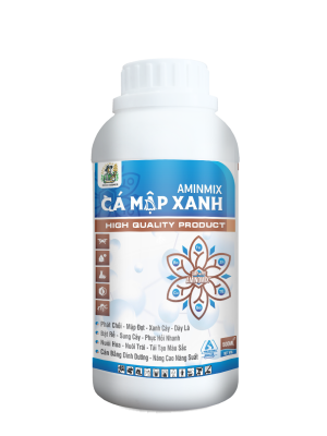 CÁ MẬP XANH