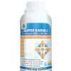 SUPER KABOLI