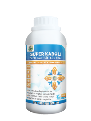 SUPER KABOLI