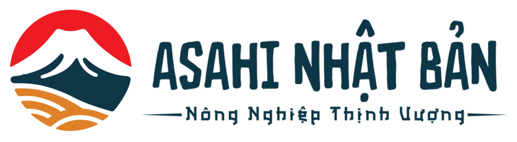 ASAHI NHẬT BẢN