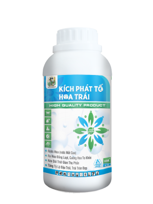 KÍCH PHÁT TỐ HOA TRÁI
