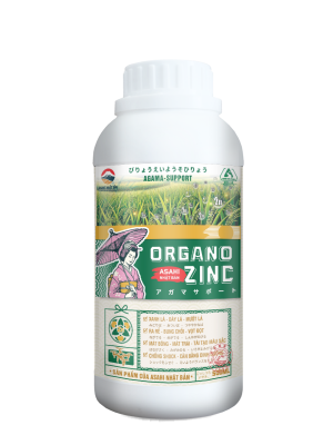 ORGANO ZINC