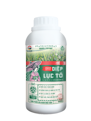 DIỆP LỤC TỐ