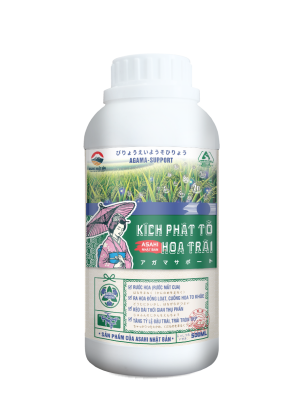 KÍCH PHÁT TỐ HOA TRÁI