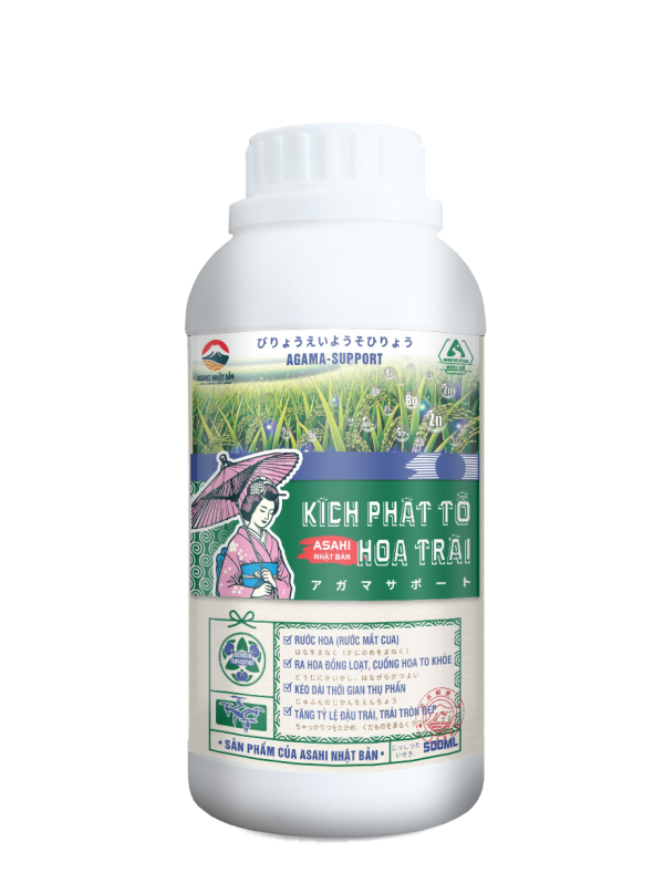 KÍCH PHÁT TỐ HOA TRÁI
