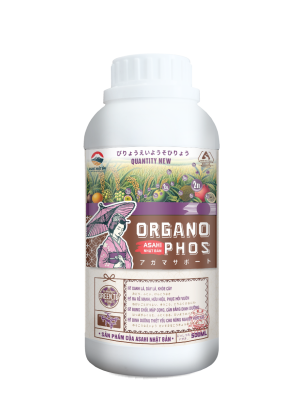 ORGANO PHOS