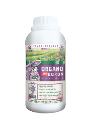 ORGANO BORON