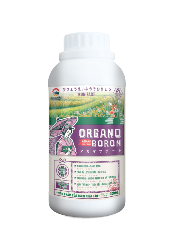 ORGANO BORON