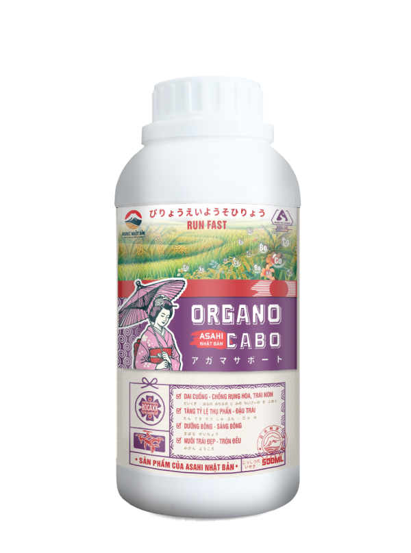 ORGANO CABO
