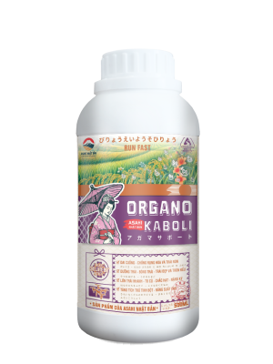 ORGANO KABOLI