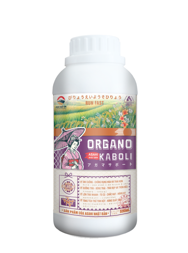 ORGANO KABOLI