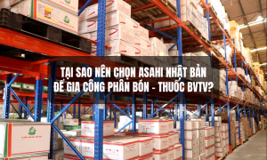 Asahi Nhật Bản - gia công phân bón thuốc bvtv