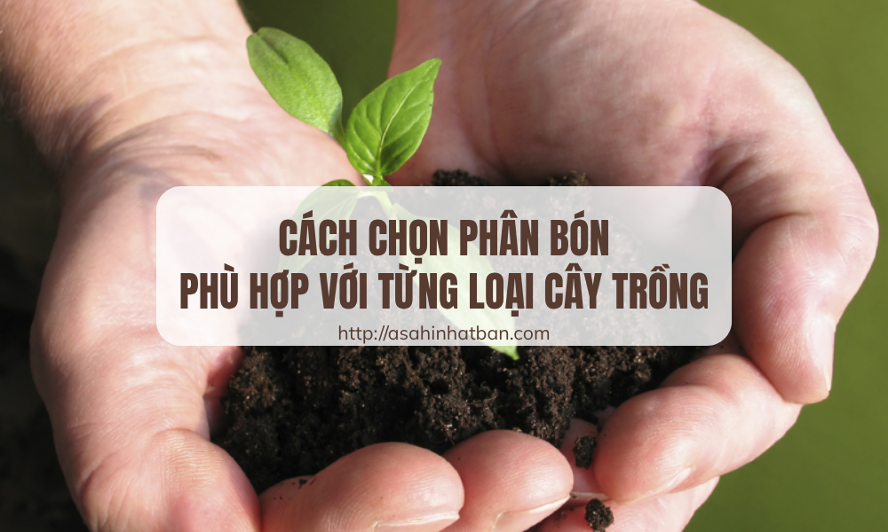 Cách chọn phân bón phù hợp với từng loại cây trồng