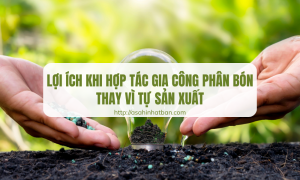 Lợi ích khi hợp tác gia công phân bón