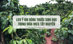 Lưu ý khi dùng thuốc sinh học
