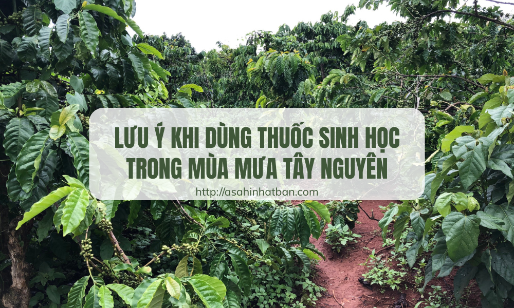 Lưu ý khi dùng thuốc sinh học
