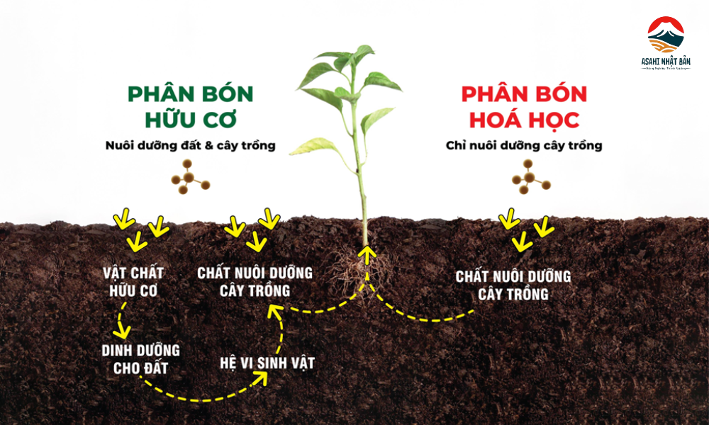 Phân biệt phân bón hữu cơ và phân bón hóa học