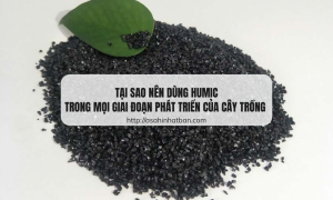 Tại sao nên dùng Humic