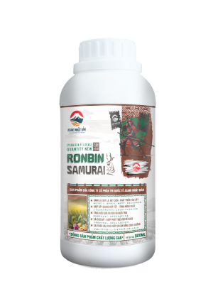 RONBIN SAMURAI