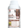 ROOTS SAMURA