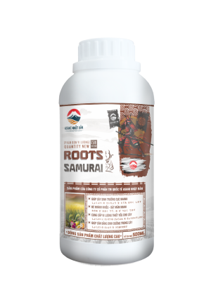 ROOTS SAMURA