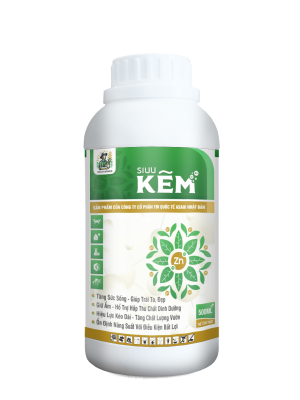 SIUU KẼM