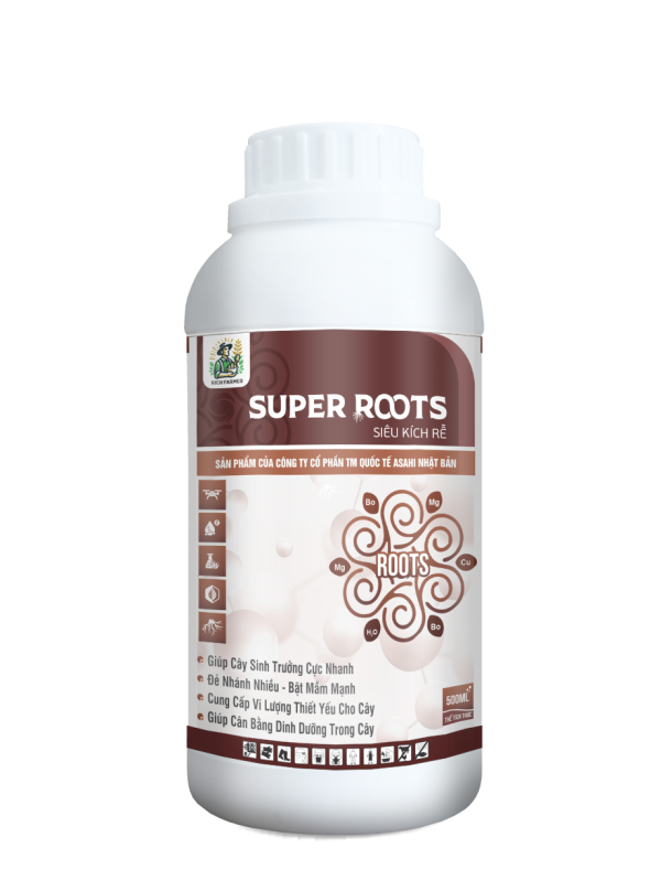 SUPER ROOTS SIÊU KÍCH RỄ
