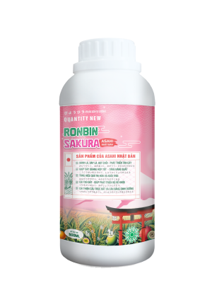 RONBIN SAKURA