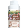 ROOTS SIÊU KÍCH RỄ