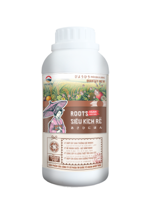 ROOTS SIÊU KÍCH RỄ