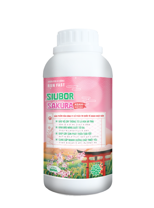 SIUBOR SAKURA