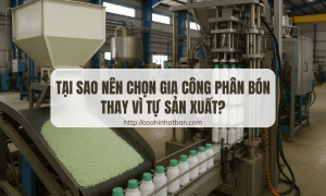 Tại sao nên chọn gia công phân bón