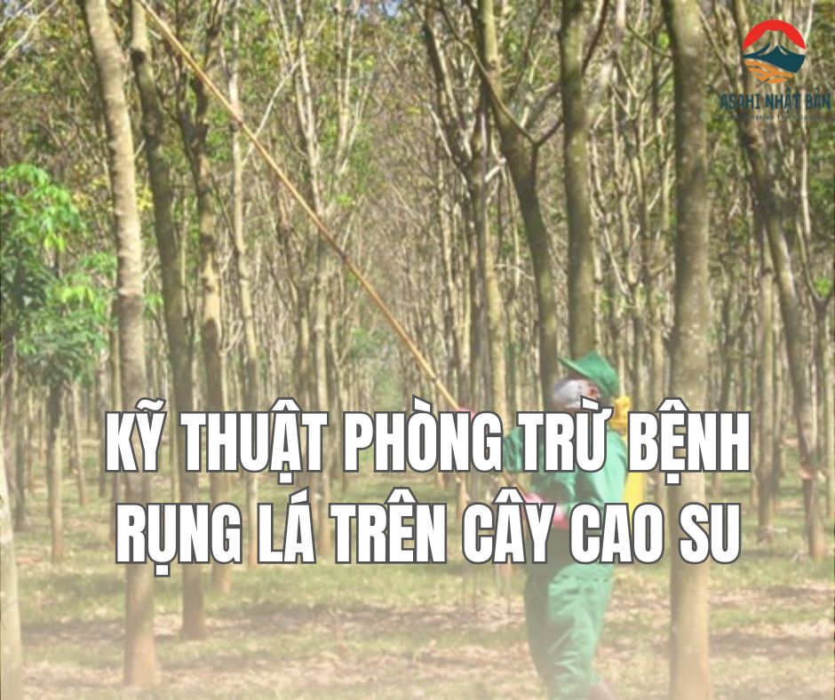 Kỹ thuật phòng trừ bệnh rụng lá trên cây cao su
